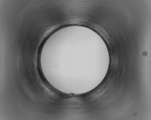 X0000101200578200807251028