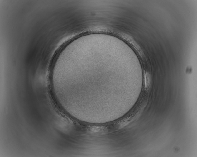 X0000101200579200807251028