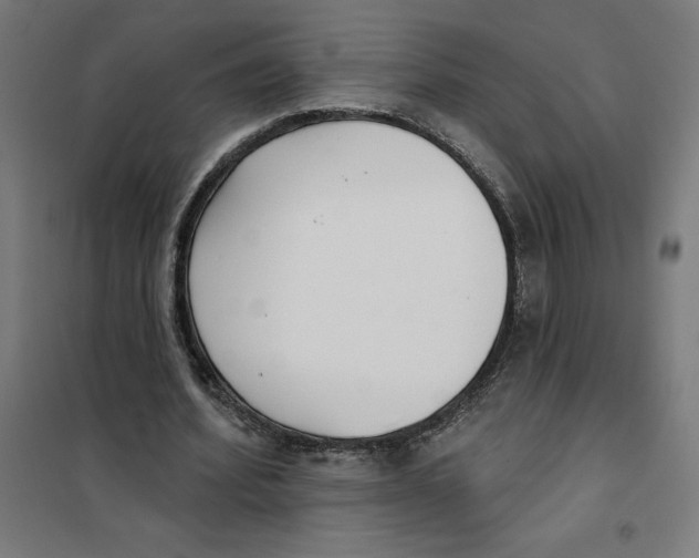 X0000101200580200807251028