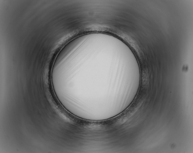 X0000101200581200807251028