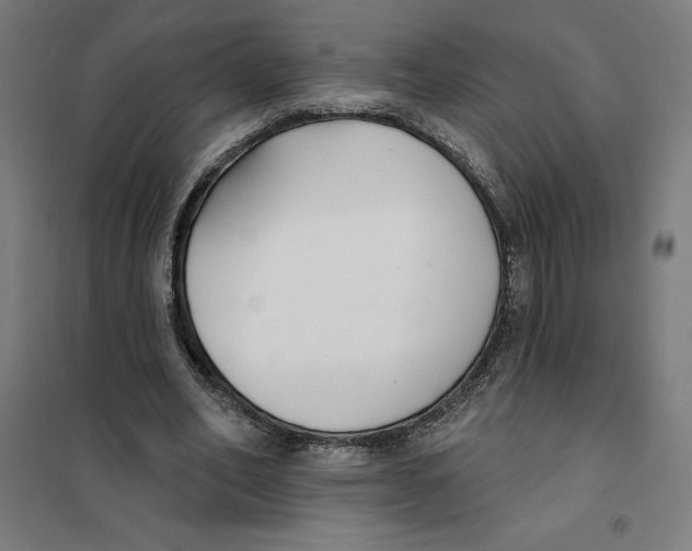 X0000101200582200807251028