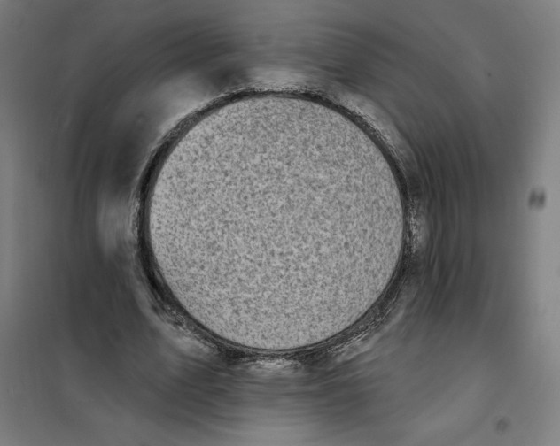 X0000101200583200807251028