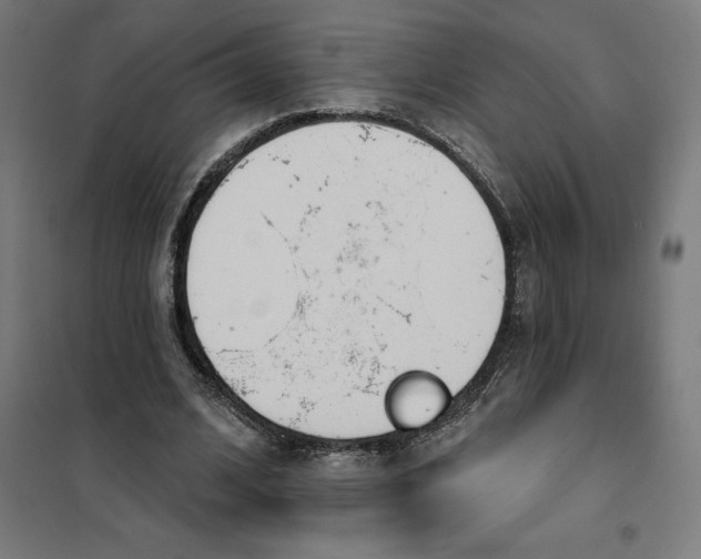 X0000101200584200807251028