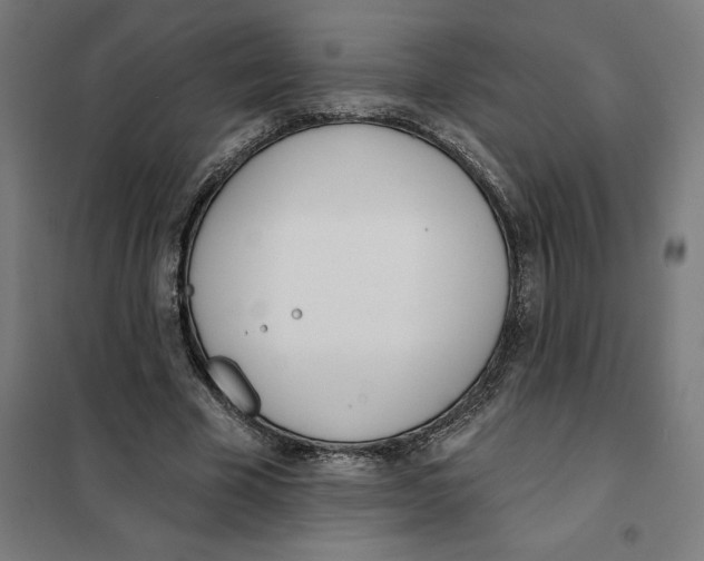 X0000101200585200807251027