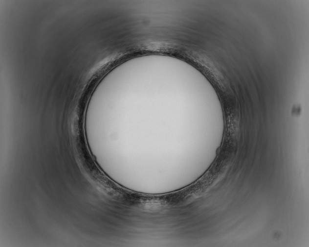 X0000101200587200807251027