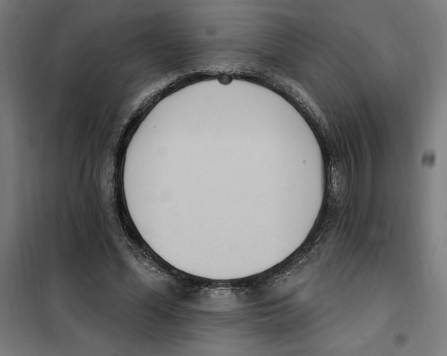 X0000101200588200807251027