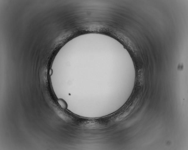 X0000101200589200807251027