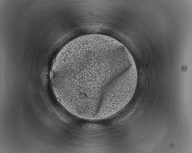 X0000101200590200807251027