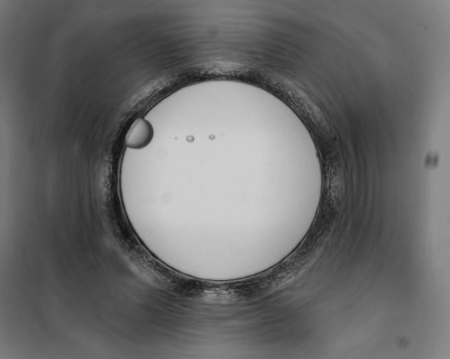 X0000101200591200807251027