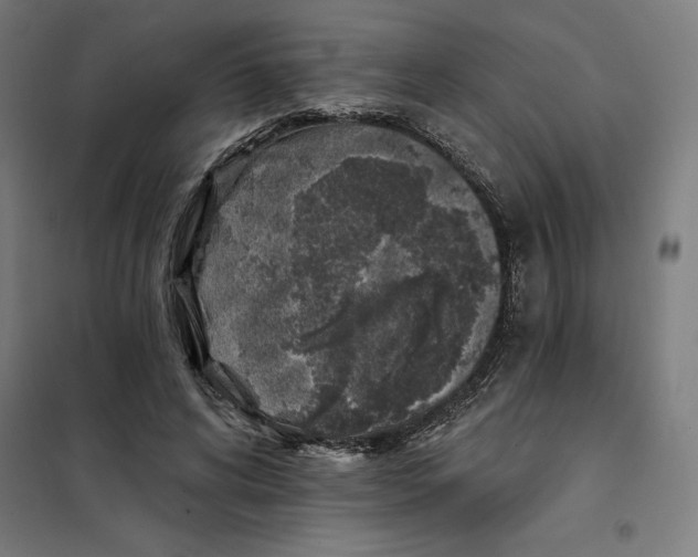 X0000101200592200807251027