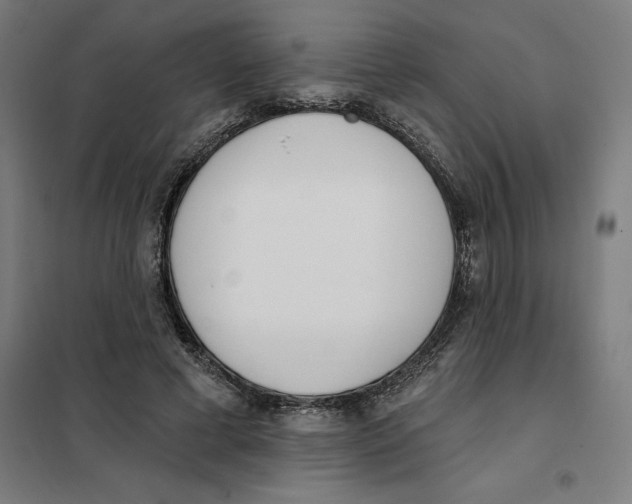 X0000101200593200807251027