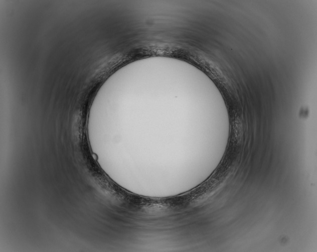 X0000101200594200807251027