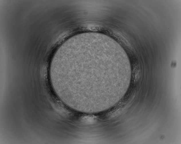 X0000101200595200807251027