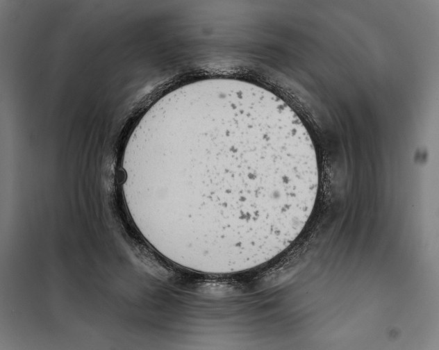 X0000101200596200807251027