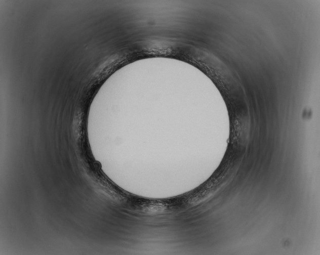 X0000101200600200807251027