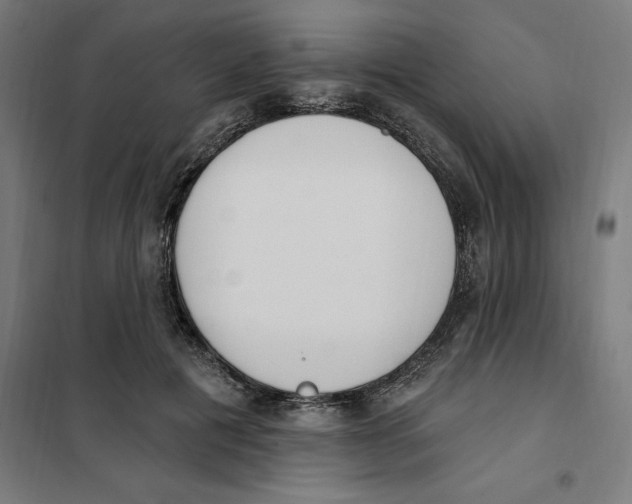 X0000101200601200807251027