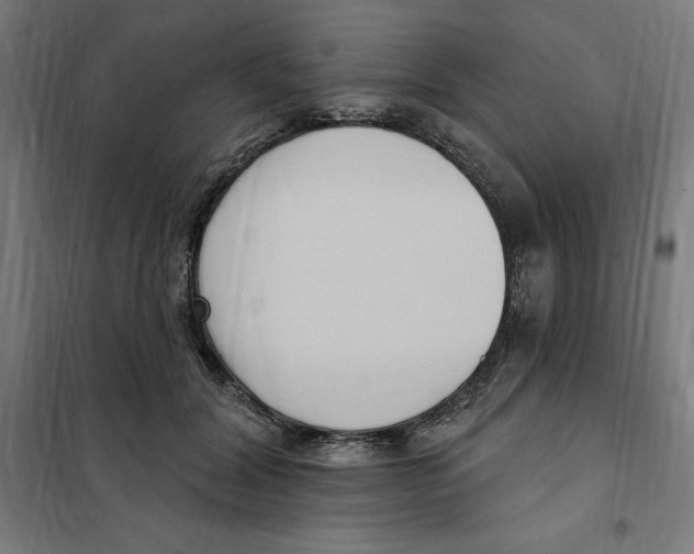 X0000101200604200807251027