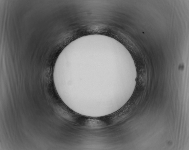 X0000101200605200807251027