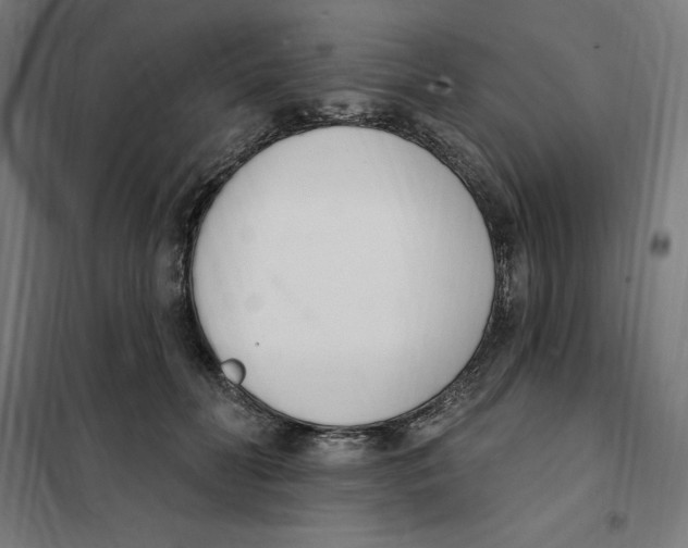 X0000101200606200807251027