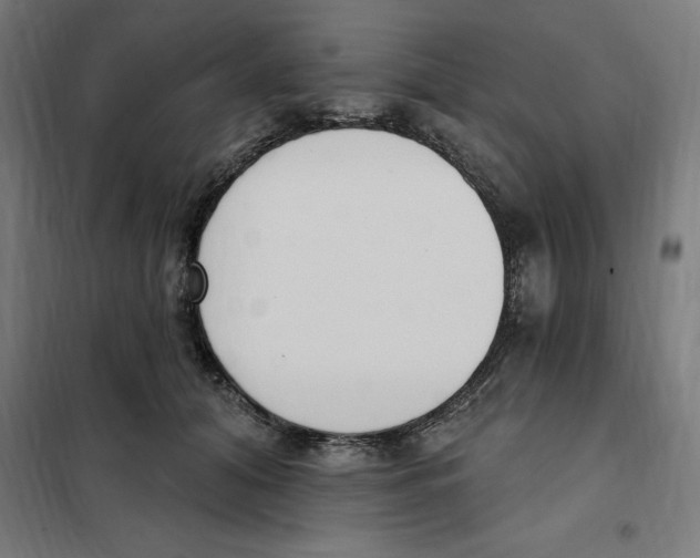 X0000101200608200807251027