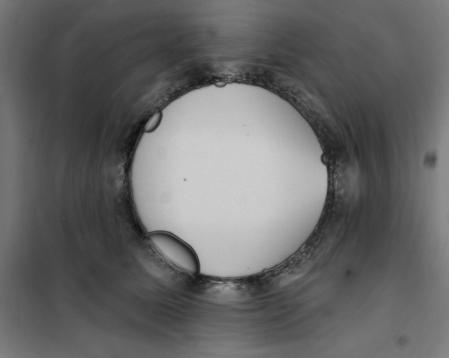 X0000101200611200807251027