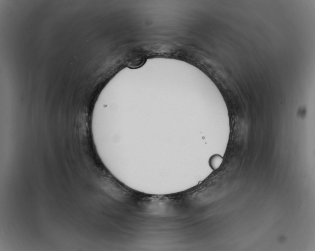 X0000101200612200807251027