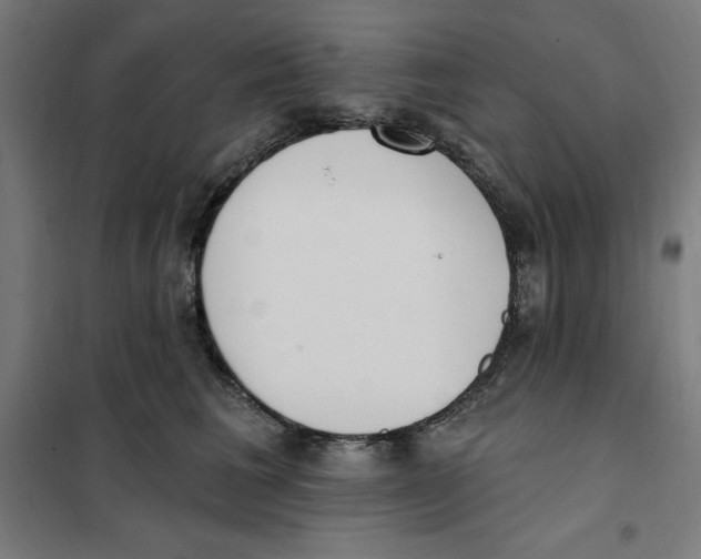 X0000101200613200807251027