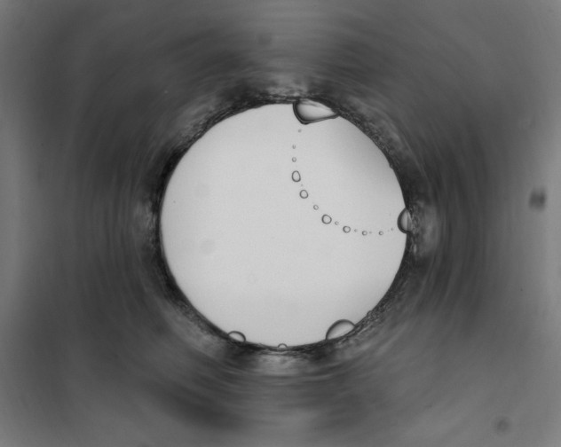 X0000101200614200807251027