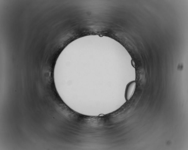 X0000101200615200807251027