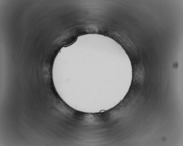 X0000101200616200807251027