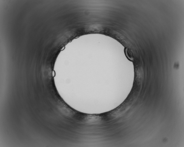 X0000101200617200807251027