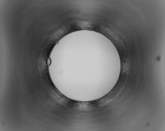 X0000101200618200807251027