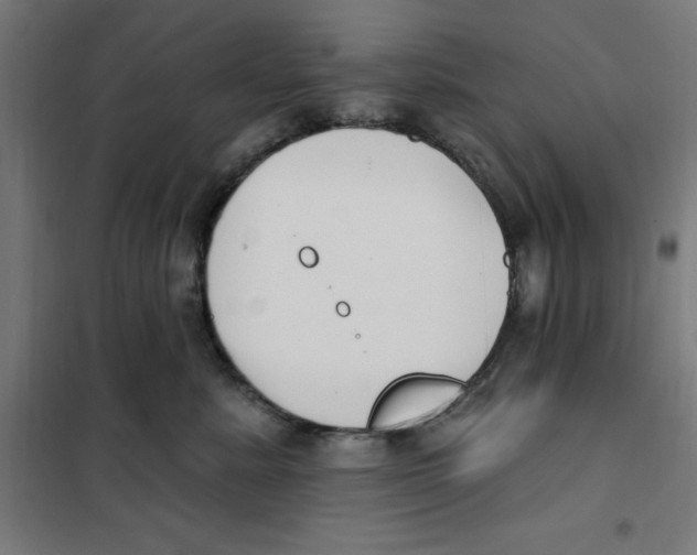 X0000101200619200807251027