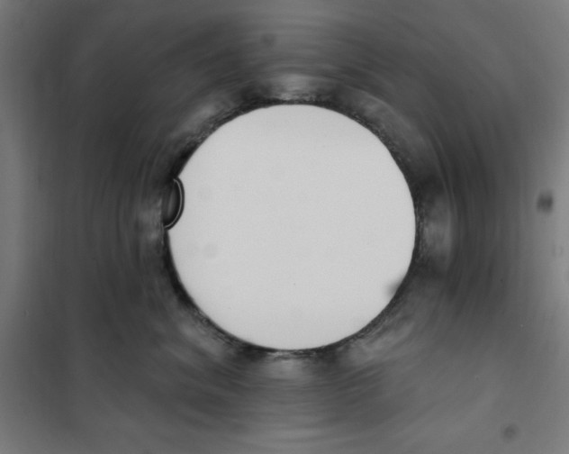 X0000101200620200807251027