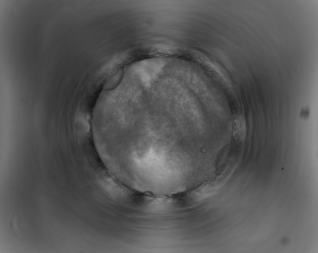 X0000101200621200807251027