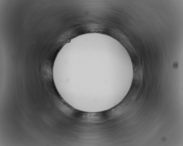 X0000101200622200807251027