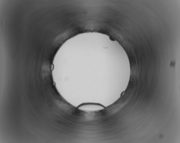 X0000101200623200807251027