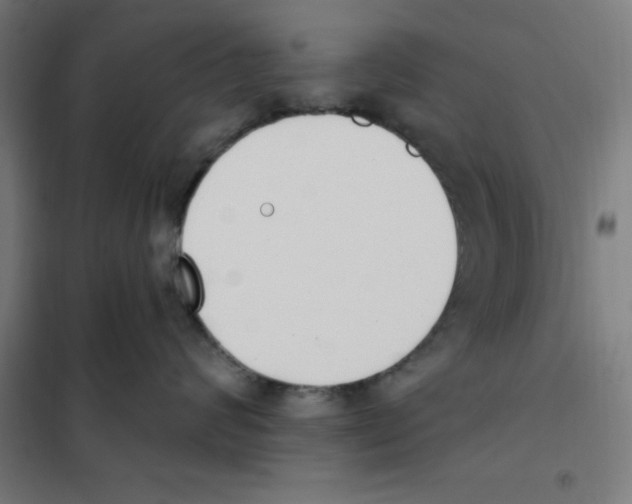 X0000101200624200807251027