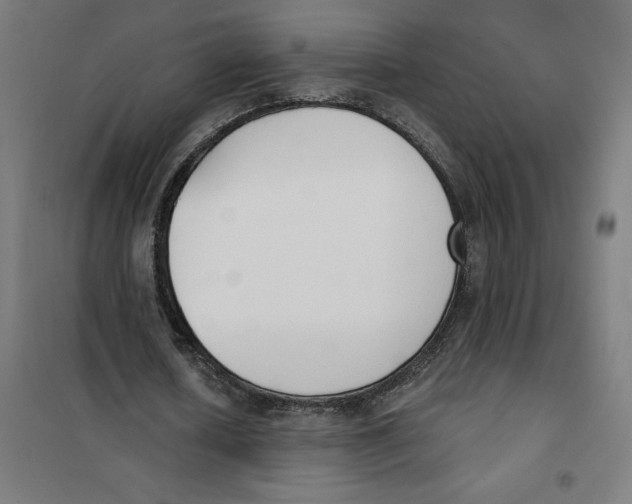 X0000101200626200807251026