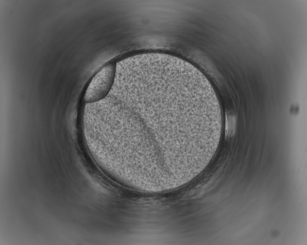 X0000101200627200807251026