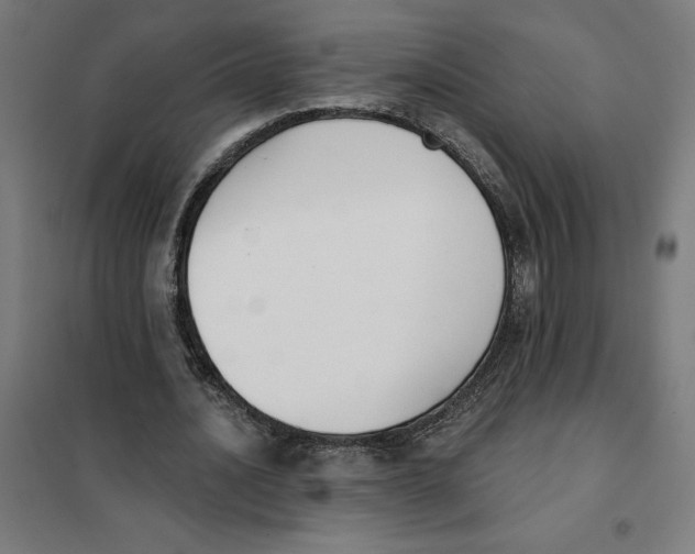 X0000101200628200807251026