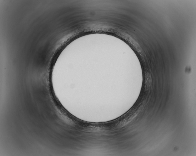 X0000101200629200807251026