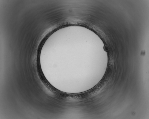 X0000101200630200807251026