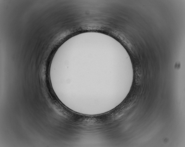 X0000101200631200807251026