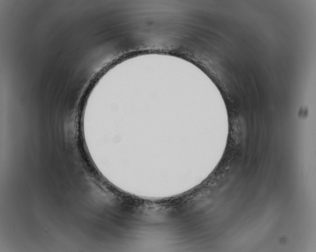 X0000101200632200807251026