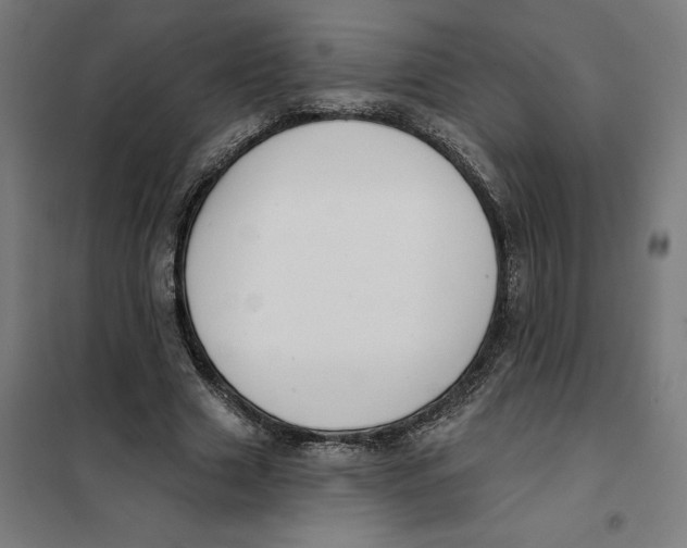 X0000101200633200807251026