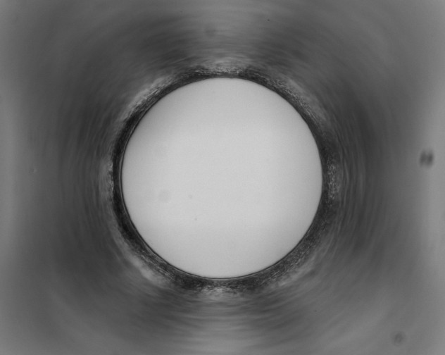 X0000101200634200807251026