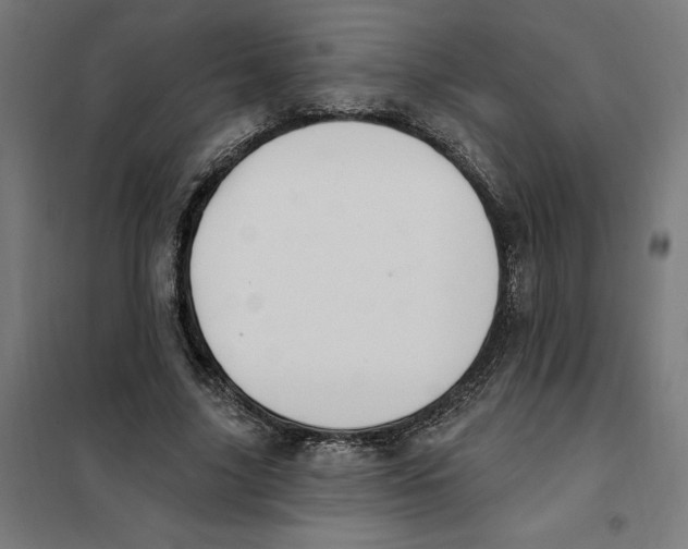 X0000101200635200807251026