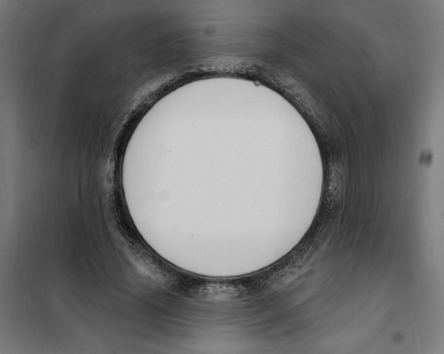 X0000101200636200807251026