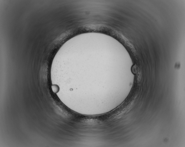 X0000101200637200807251026